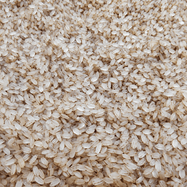 Matta Rice 2